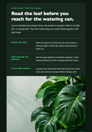 Your Monstera Care Reset email design preview
