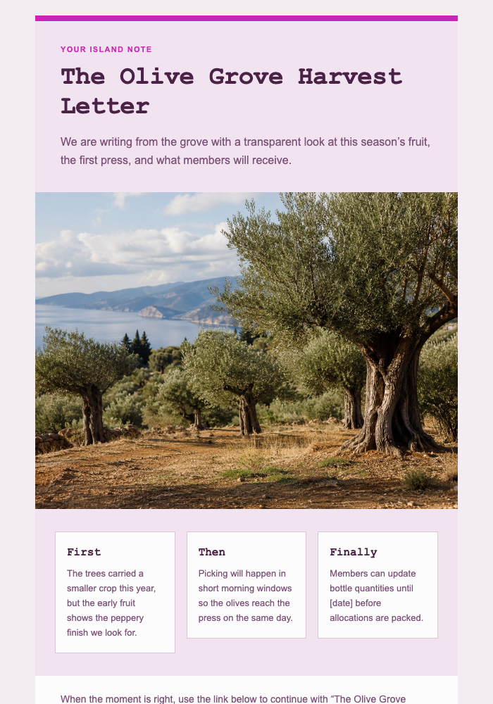 The Olive Grove Harvest Letter email design preview