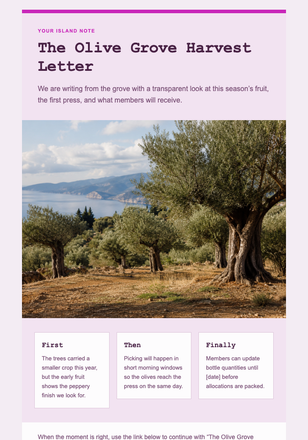 The Olive Grove Harvest Letter email design preview