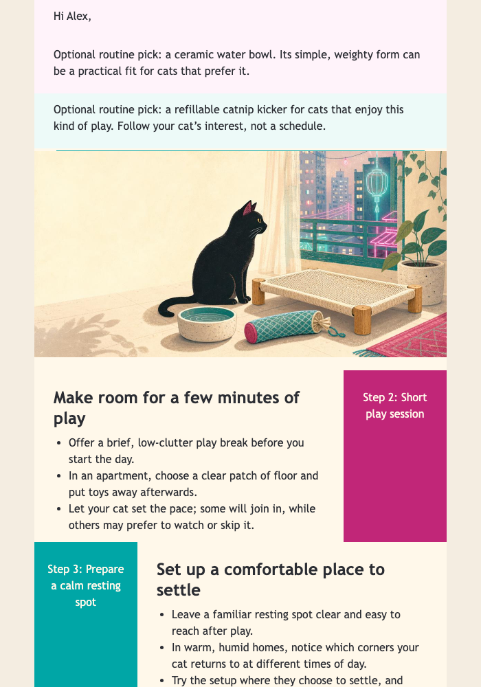 Indoor Cat Morning Picks email design preview