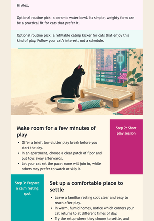 Indoor Cat Morning Picks email design preview