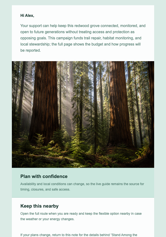 Stand Among the Redwoods email design preview