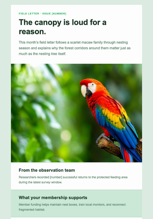 Rainforest Colors Member Letter email design preview