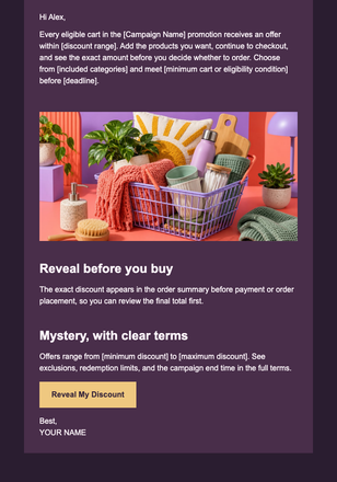 Mystery Discount at Checkout email design preview
