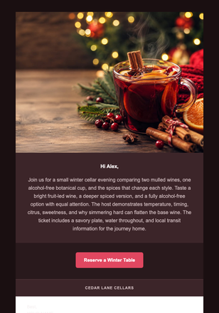 Mulled Wine by the Fire email design preview