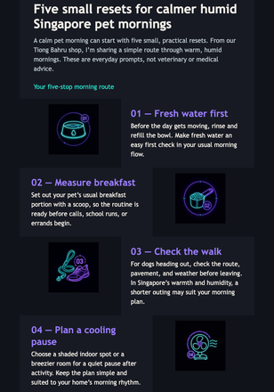 Pet Morning Routine Edit email design preview