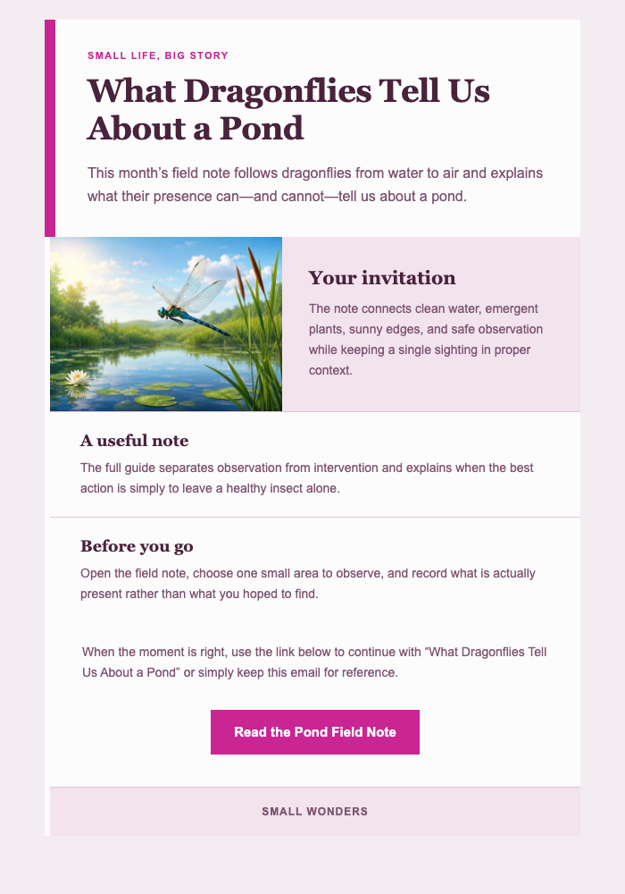 What Dragonflies Tell Us About a Pond email design preview
