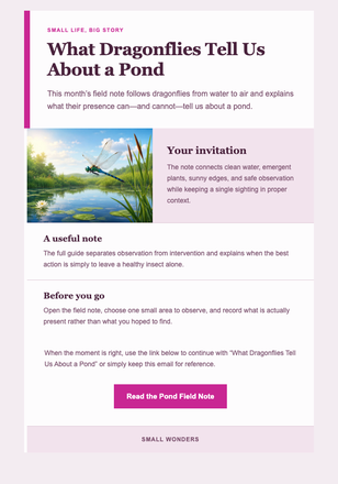 What Dragonflies Tell Us About a Pond email design preview