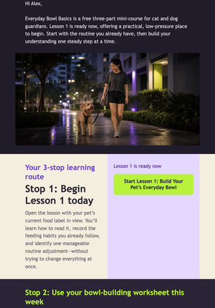 Everyday Bowl Basics: Lesson 1 email design preview