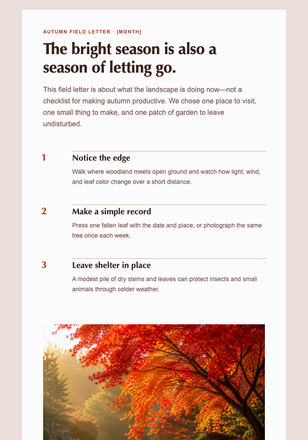 The Autumn Field Letter email design preview