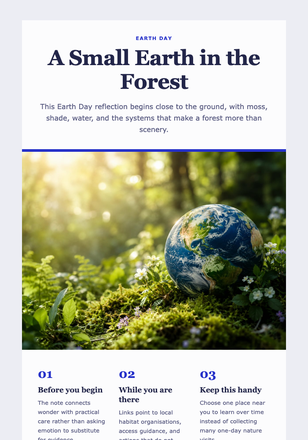 A Small Earth in the Forest email design preview
