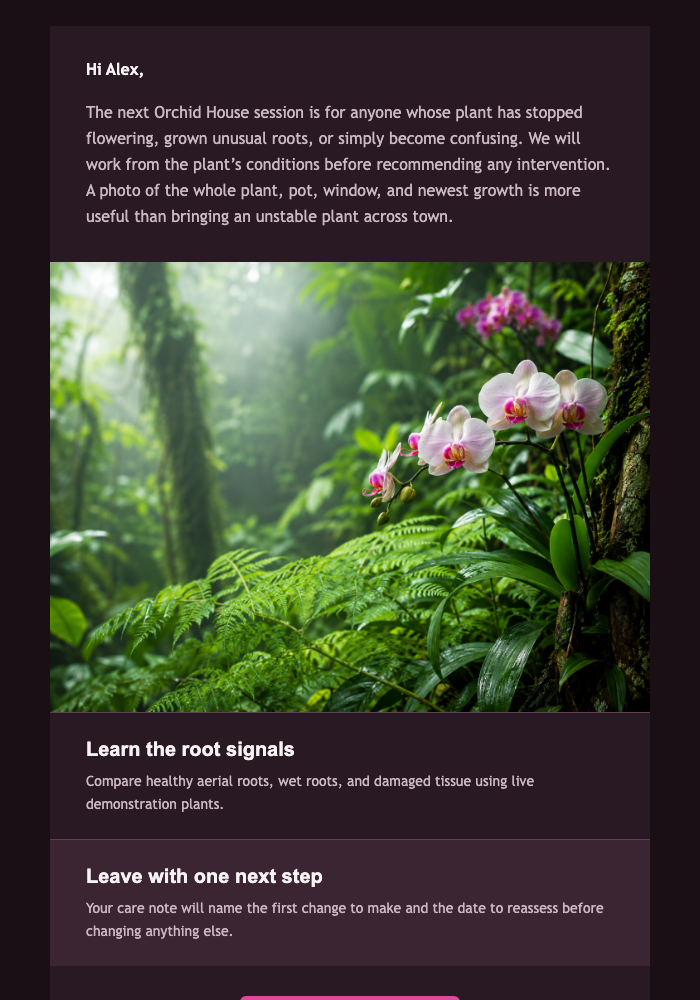 Orchid House Care Session email design preview