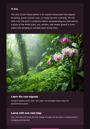 Orchid House Care Session email design preview