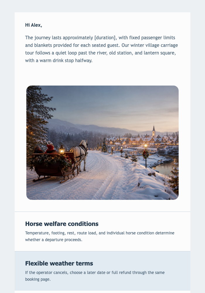 Winter Village Carriage Tour email design preview