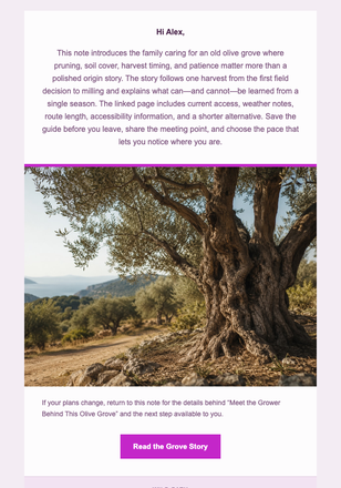 Meet the Grower Behind This Olive Grove email design preview