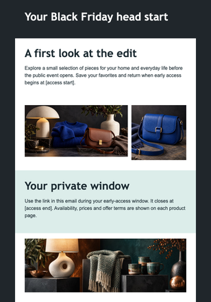 Black Friday Early Access email design preview