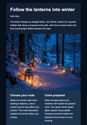 Walk Into the Blue Winter Light email design preview