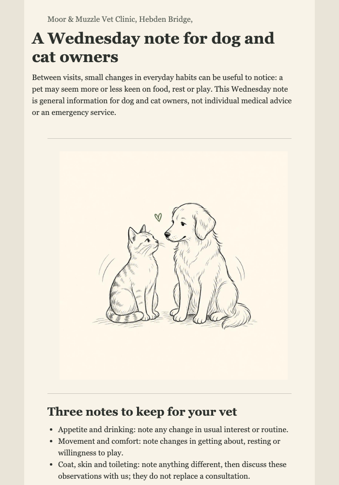 Paw Post: Routine Check-In email design preview