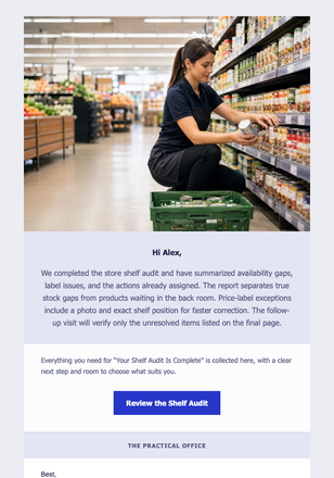 Your Shelf Audit Is Complete email design preview
