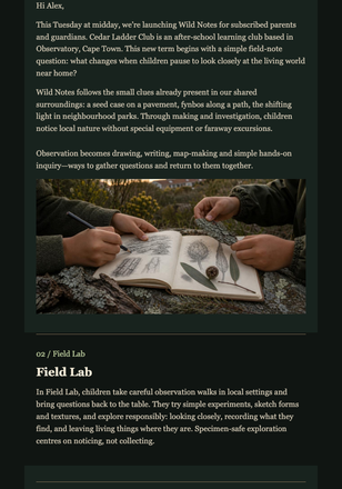 Wild Notes Term Launch email design preview