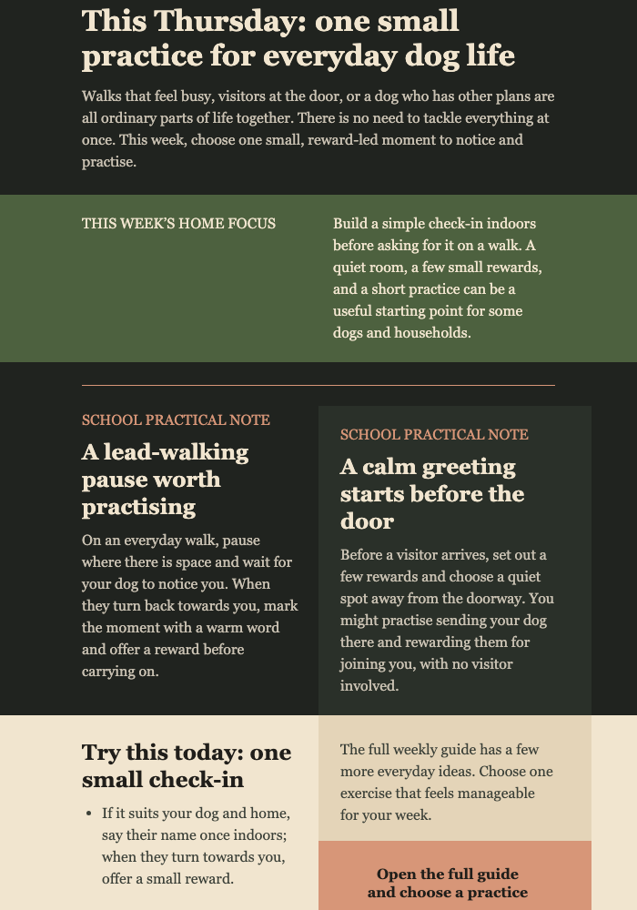 Thursday Dog Training Digest email design preview