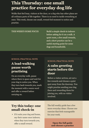 Thursday Dog Training Digest email design preview