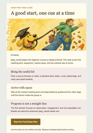 Sit, Stay—Class Starts Saturday email design preview
