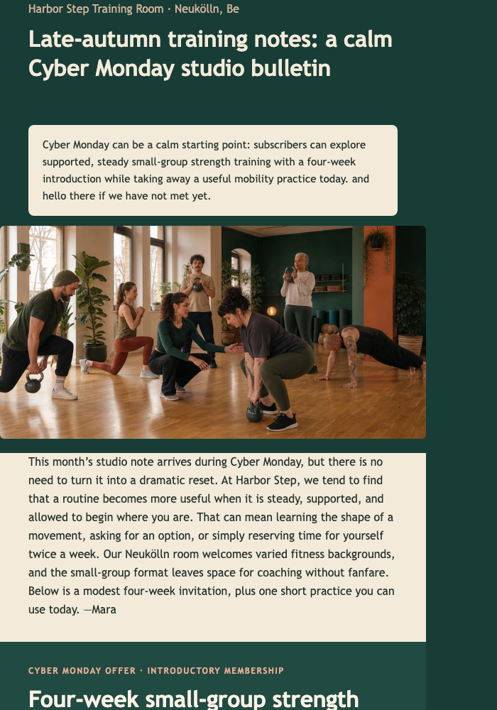 Calm Cyber Monday Studio Bulletin email design preview