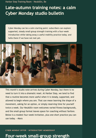 Calm Cyber Monday Studio Bulletin email design preview
