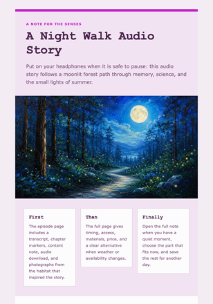 A Night Walk Audio Story email design preview